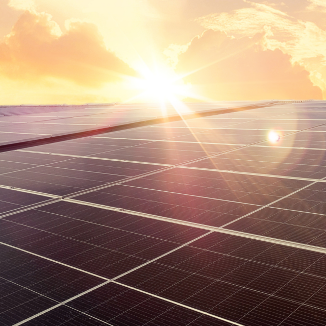 Some PV solar panels with the sun peeping out the top and glinting off of them